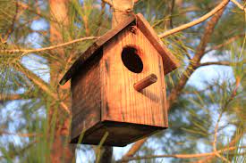 casita de pájaro de madera con un palito para que se pose el pajarito